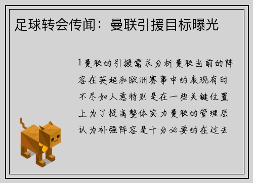 足球转会传闻：曼联引援目标曝光